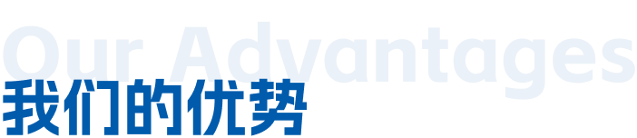 我們的優(yōu)勢